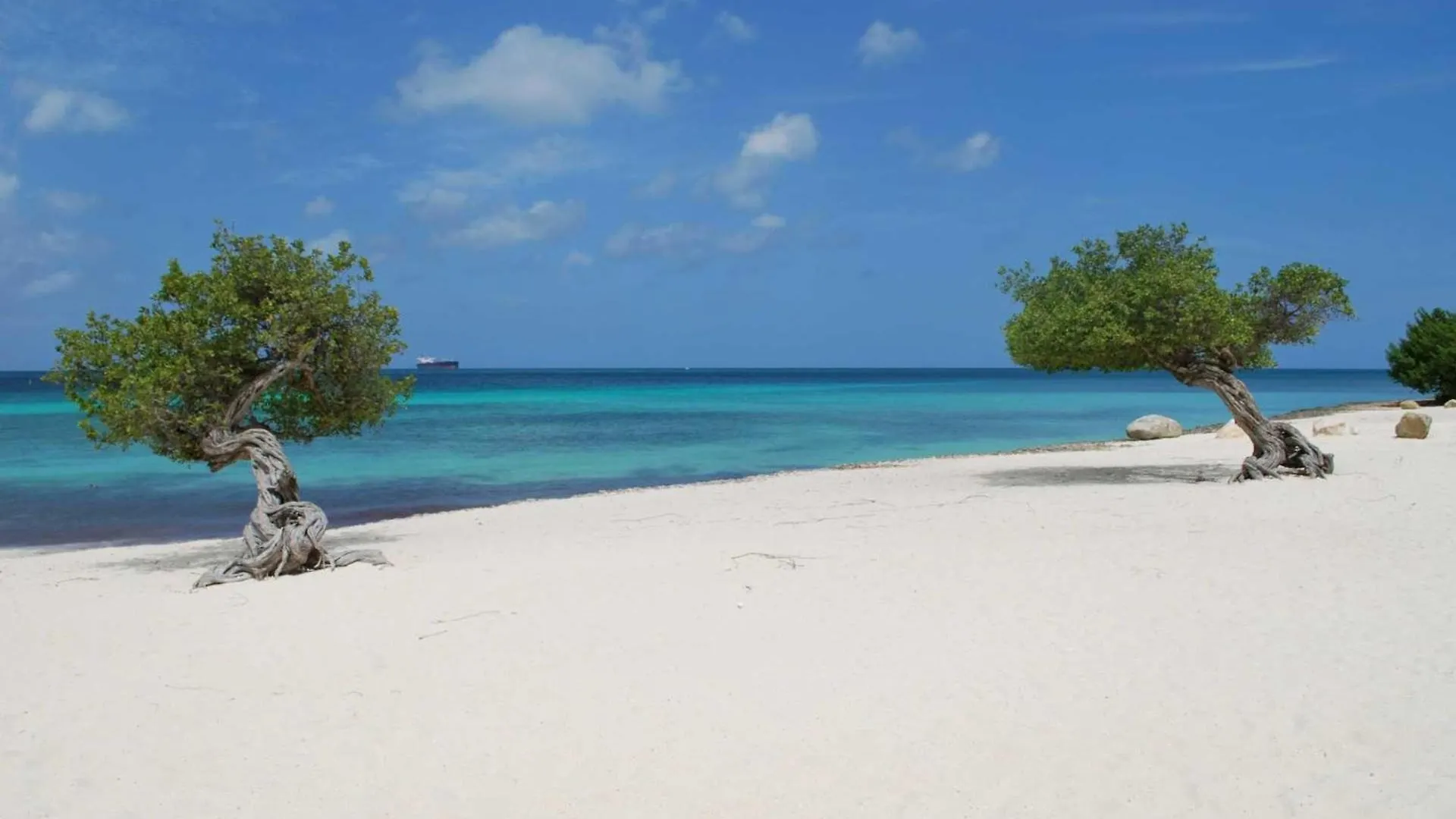 Beachfront- Eagle Beach- Top View 1Br Condo - P514 Palm Beach 0*,  Aruba