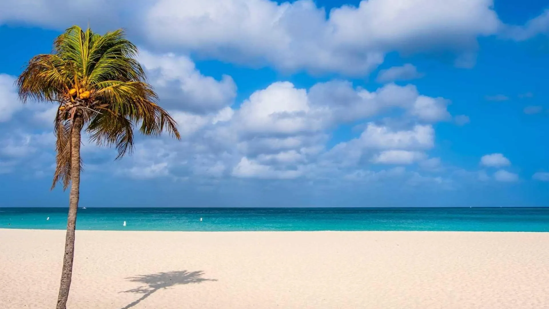 Prázdninový dům Beachfront- Eagle Beach- Top View 1Br Condo - P514 Palm Beach Aruba